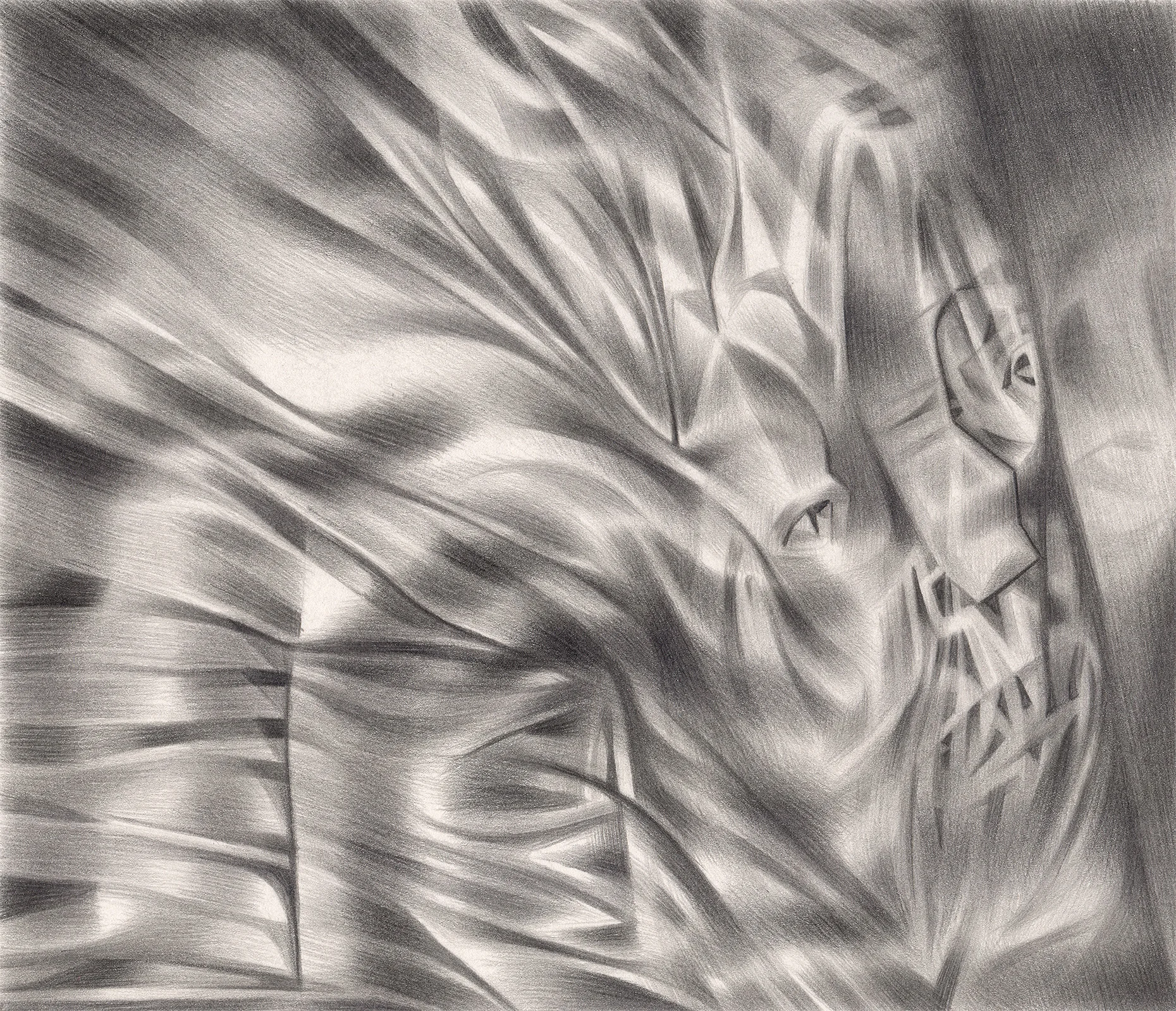 The Anger Effect , 2004. Graphite on paper. 7" x 6".