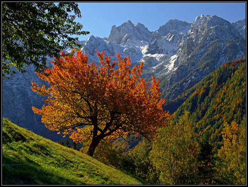 Steiner Alps in fall.jpg