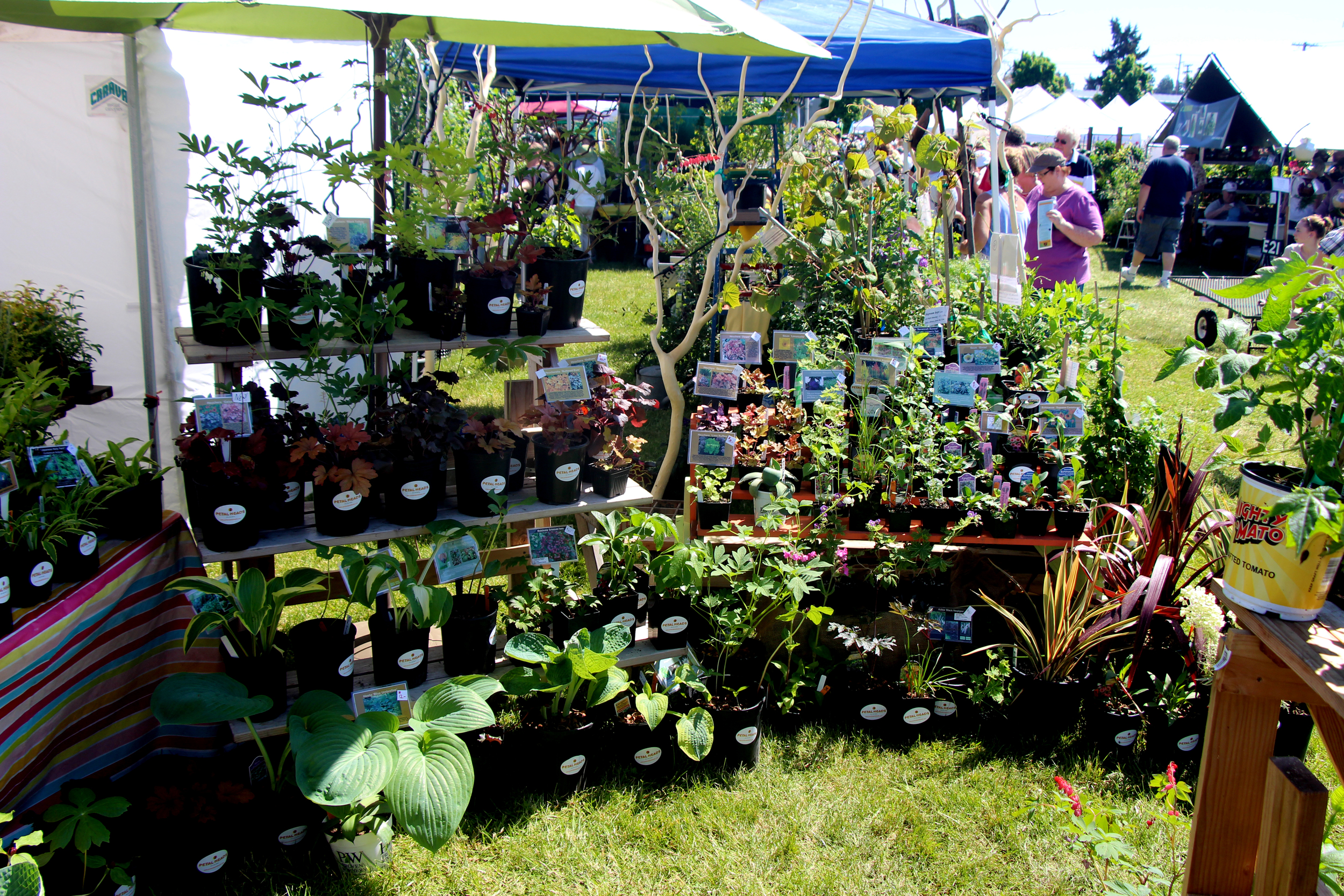 Spring Garden Fair