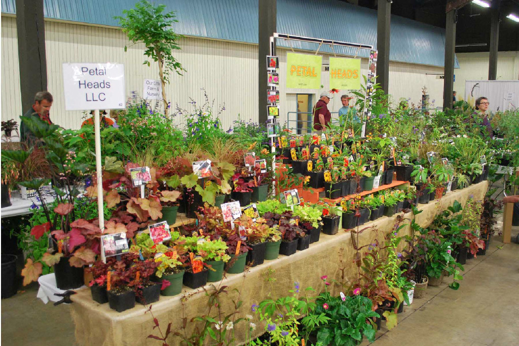Hortlandia