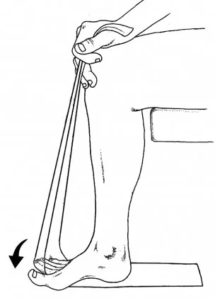 Place a flat piece of TheraBand on the floor beneath your foot. Stabilize it with the heel and forefoot and pull the opposite end of the TheraBand to your knee, thereby lifting your toes. While maintaining tension on the TheraBand, force the toes downward (arrow). Read more here.