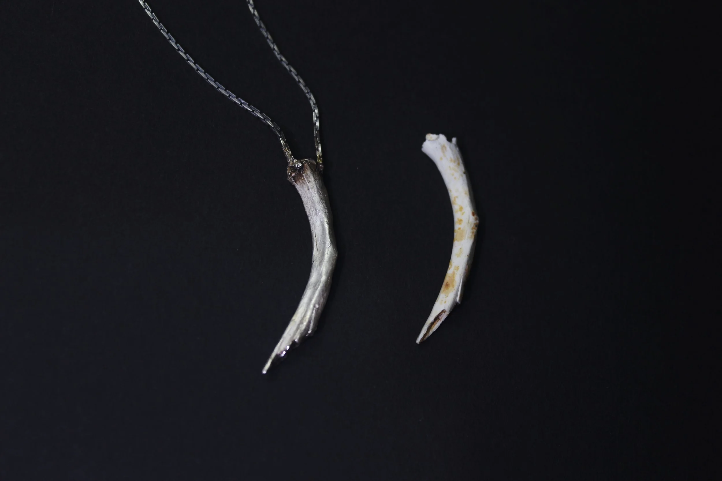 rib pendant on a long chain