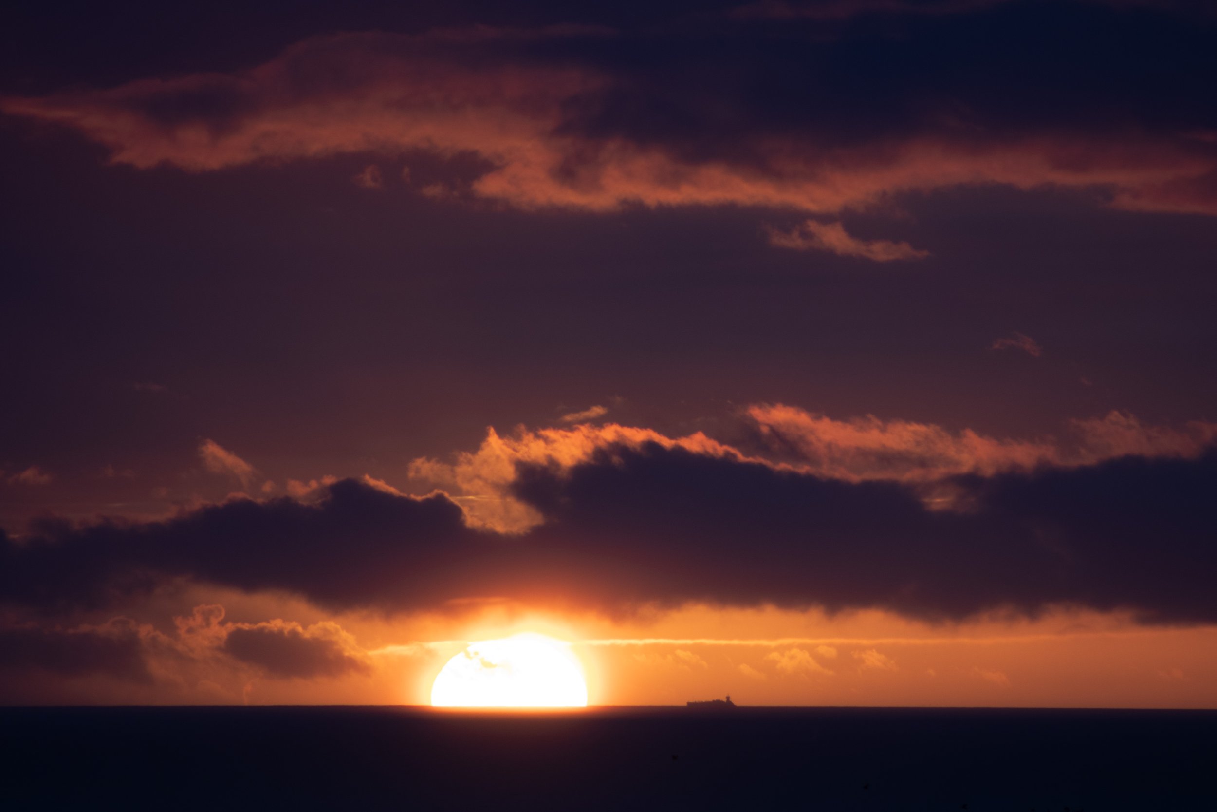 _MG_6608.jpg