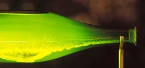 fällning champagne.jpg