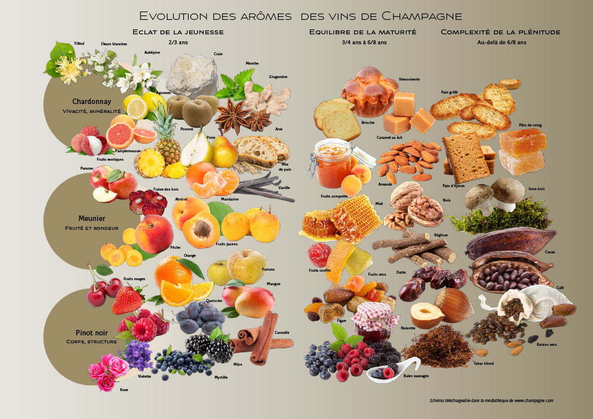 http://www.champagne.fr