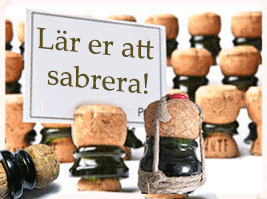 Lär dig sabera i Stockholm