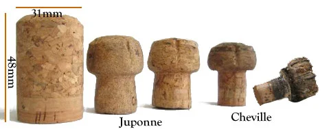 bouchon-de-champagne.gif