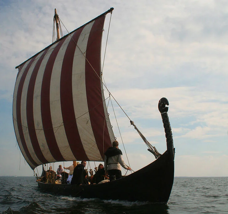 Vikingarna använde grisblod….säkrare än vin från C.