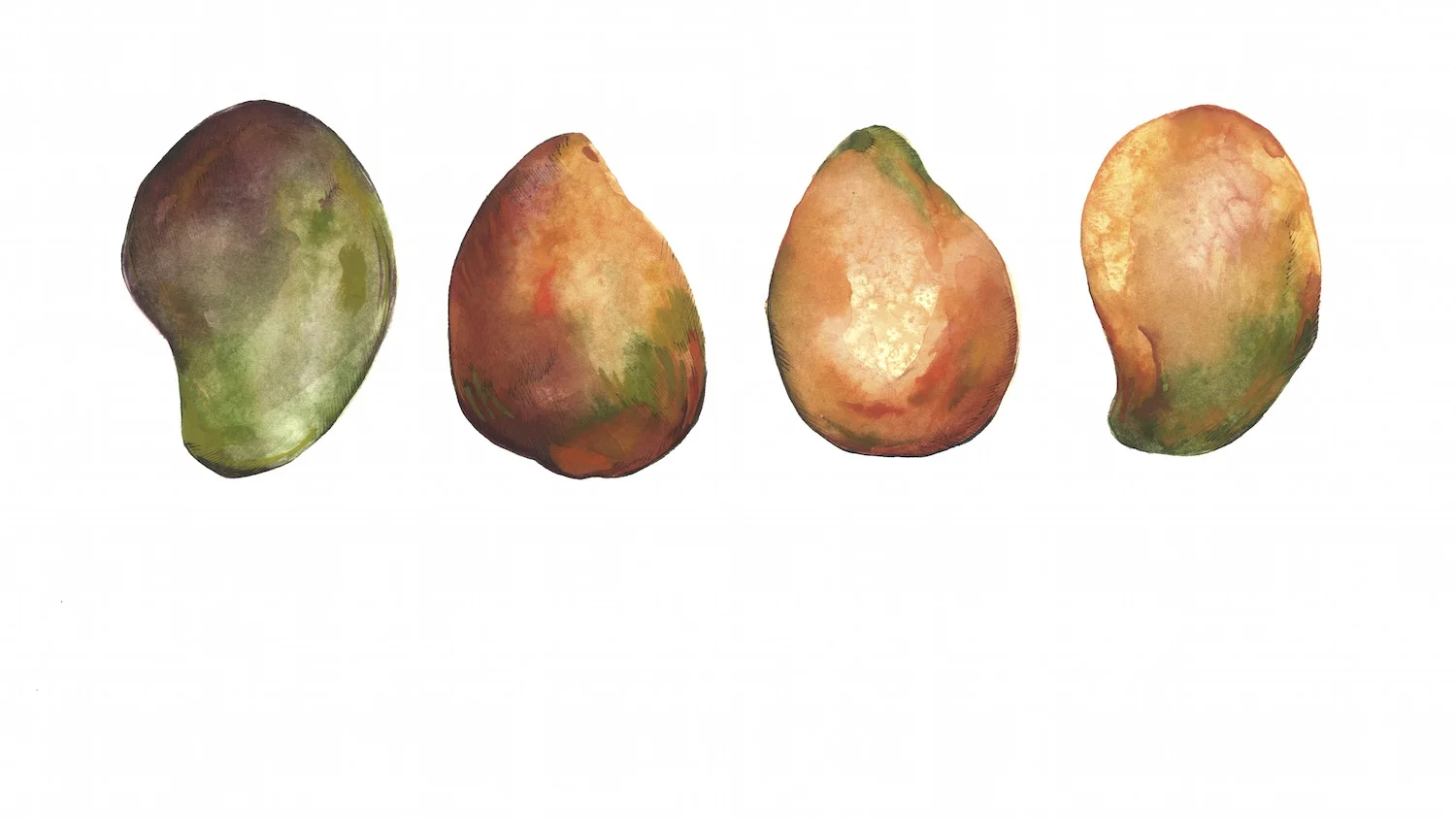 four-mangos-web.jpg