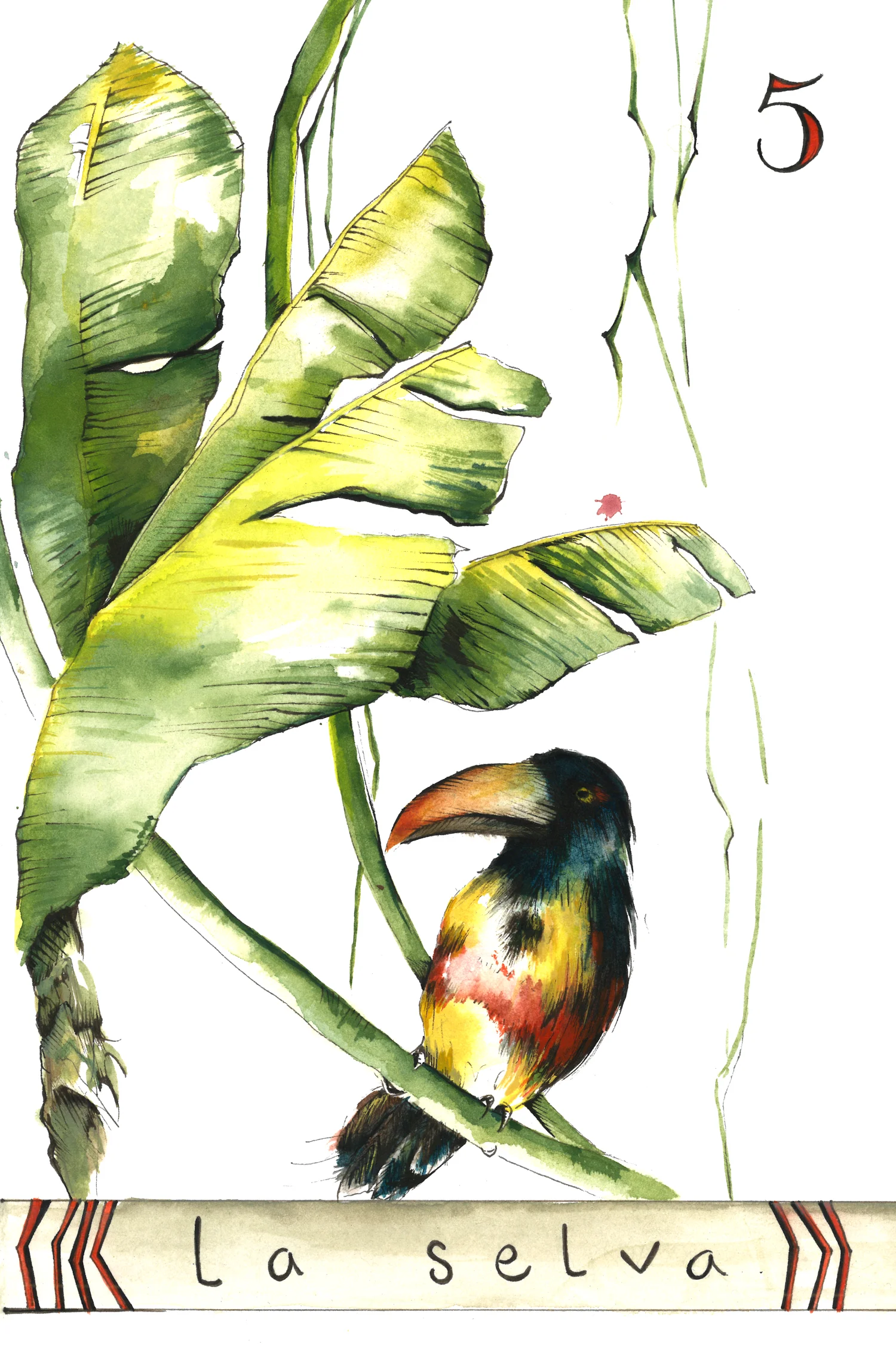 la-selva-web.jpg