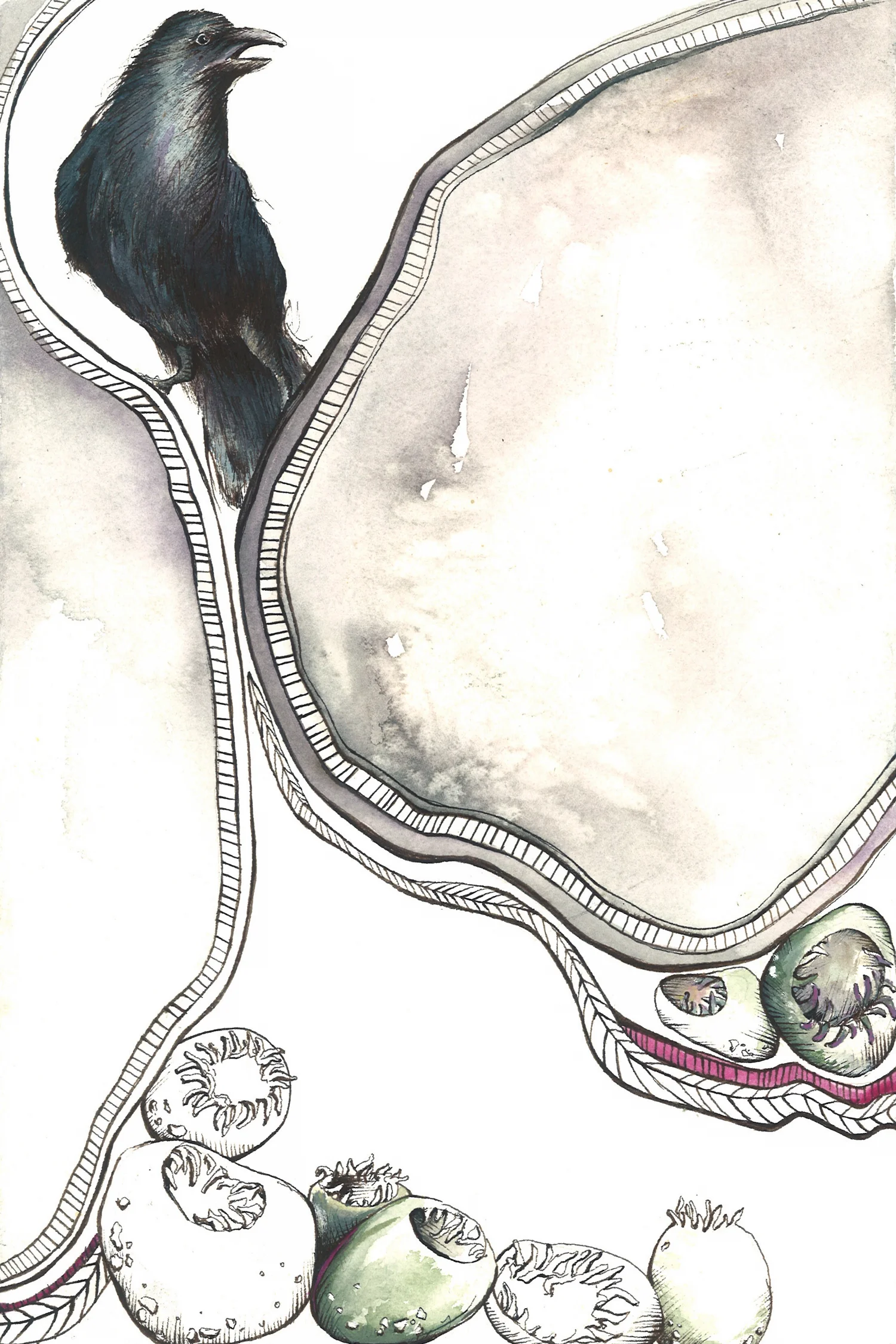 raven-calls-web.jpg