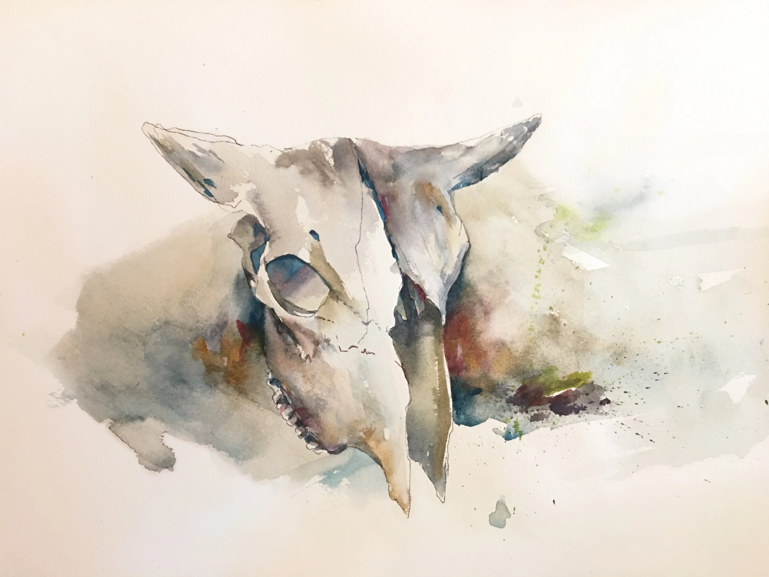 Skull 3