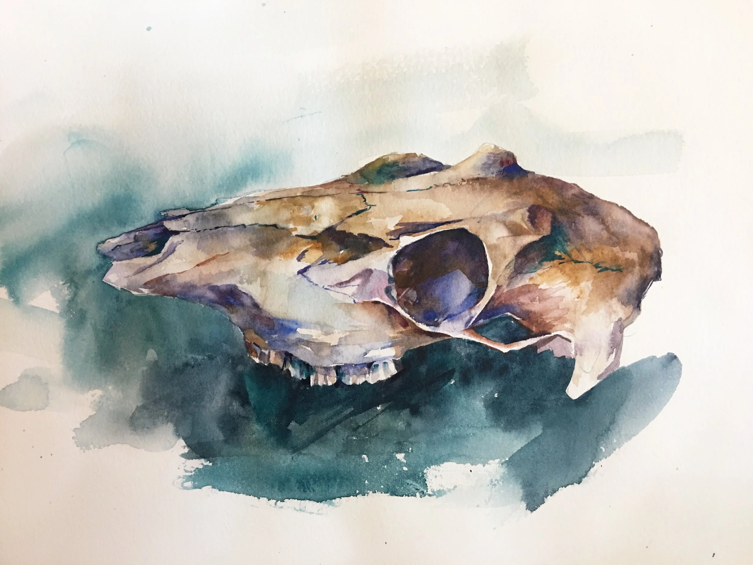 Skull 1