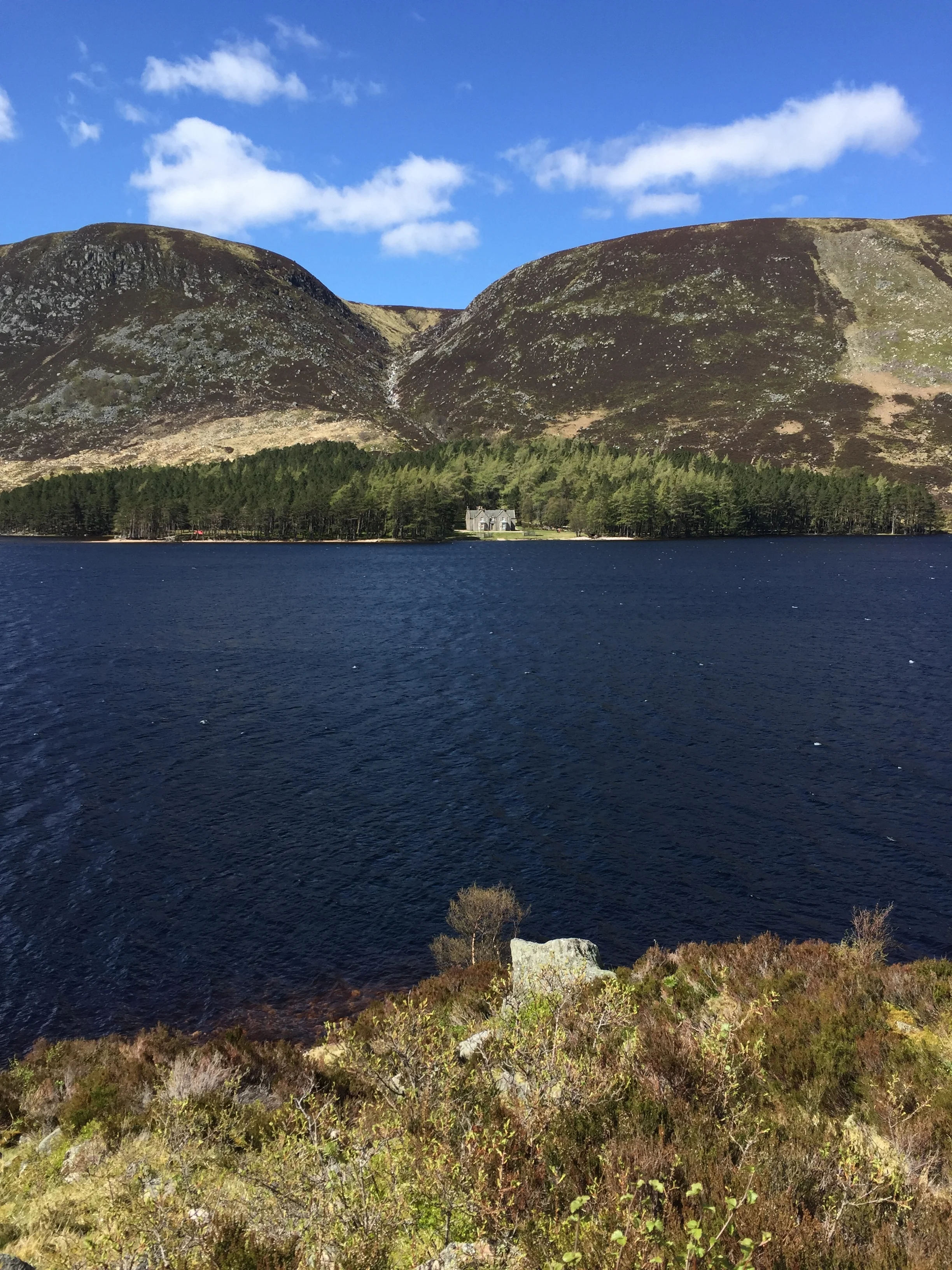 Facing Glas-Allt-Sheil from the south side of Loch Muick.... plus the sun's out !