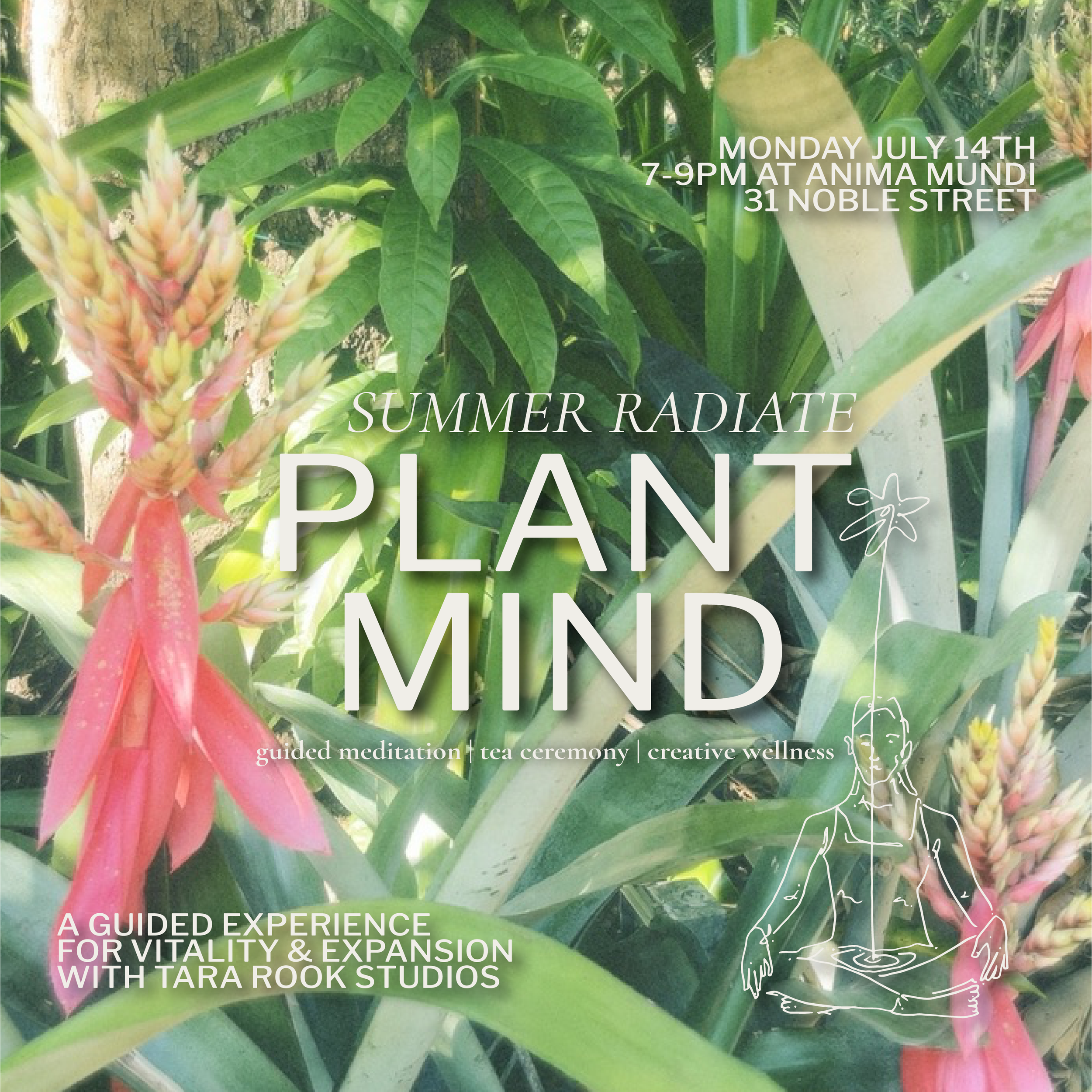 Plant Mind - SUMMER RADIANCE