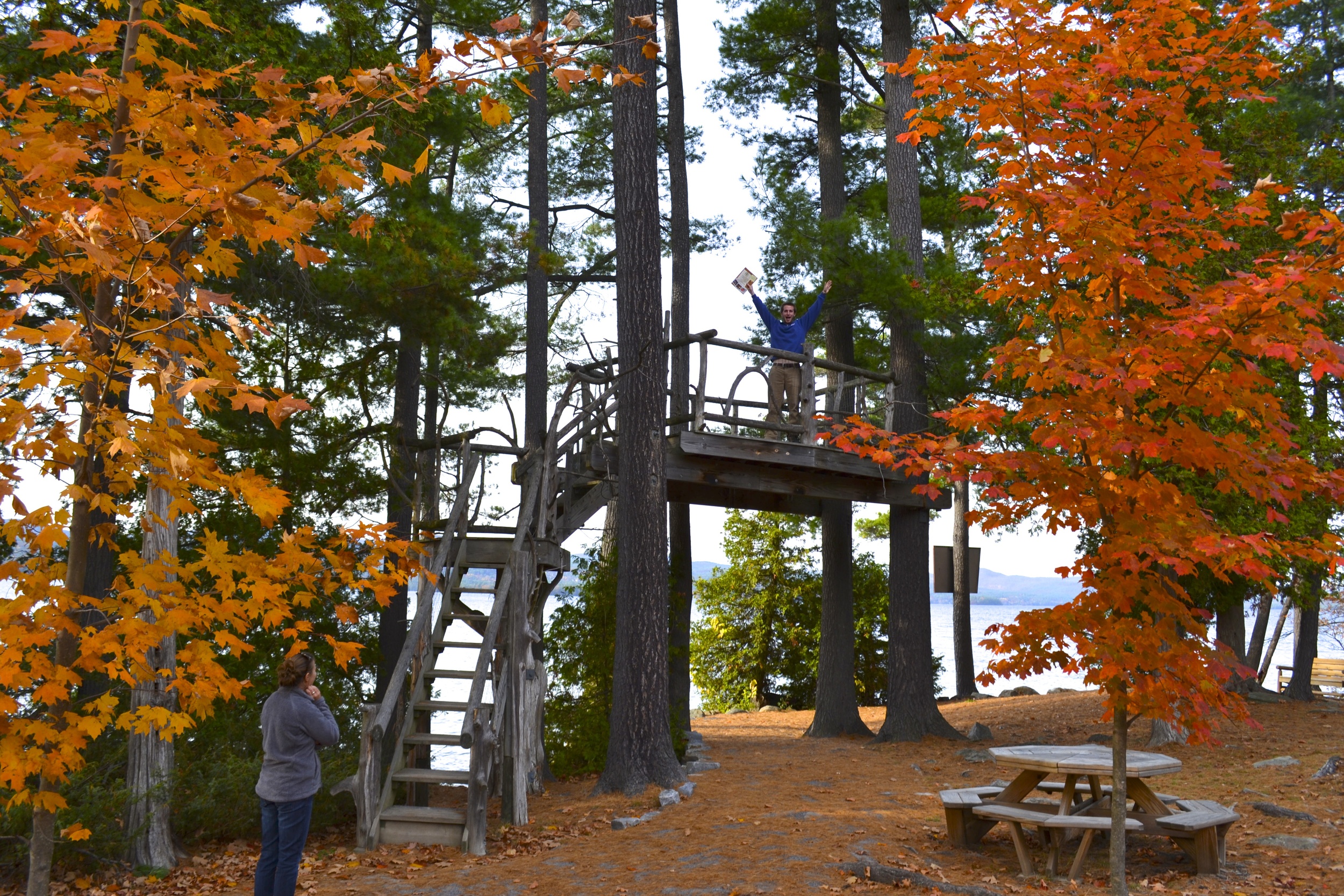 Tree Houses