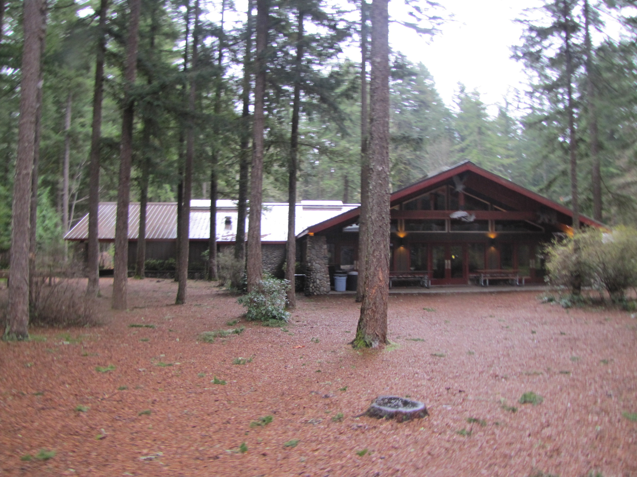 Camp Collins