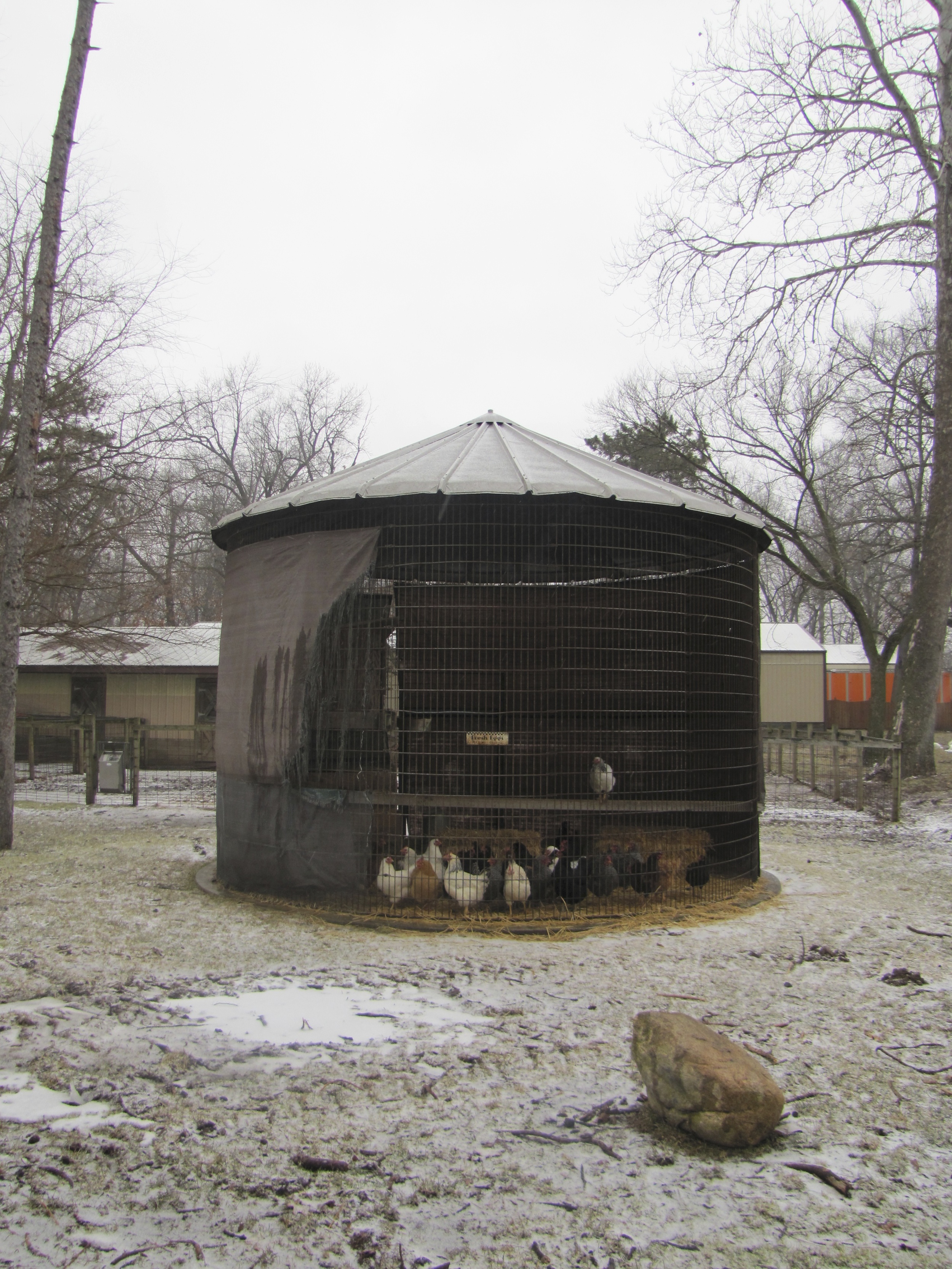 Chicken Coup Camp Tecumseh