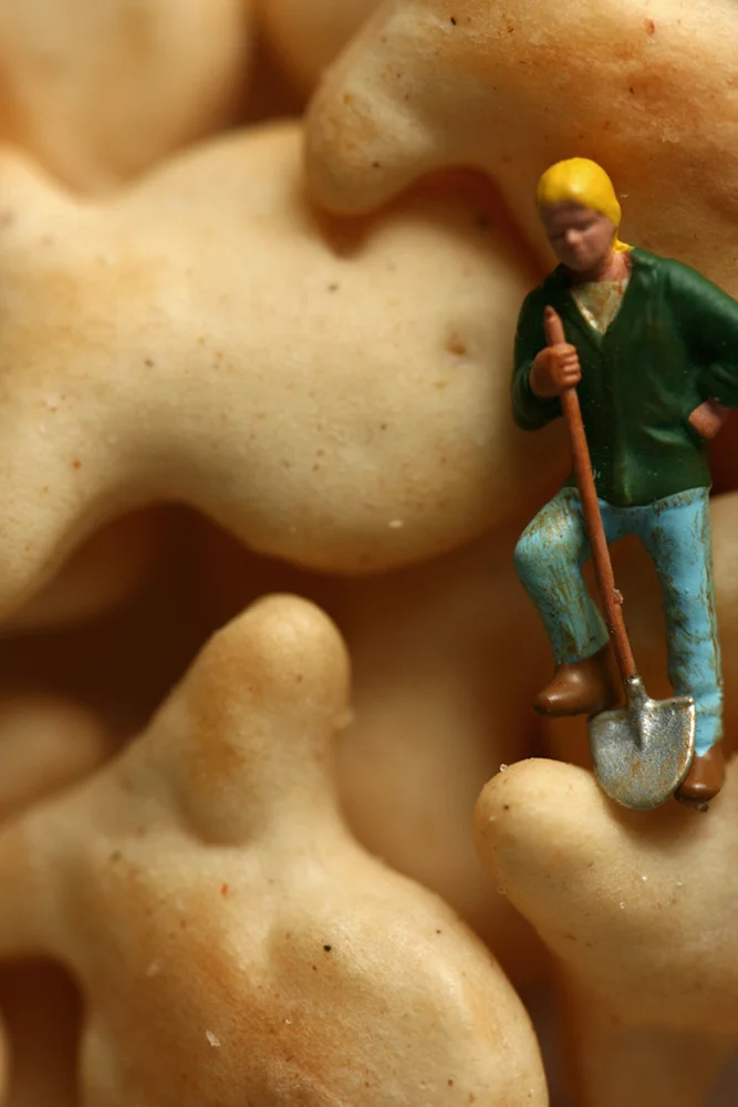 Goldfish Mountain