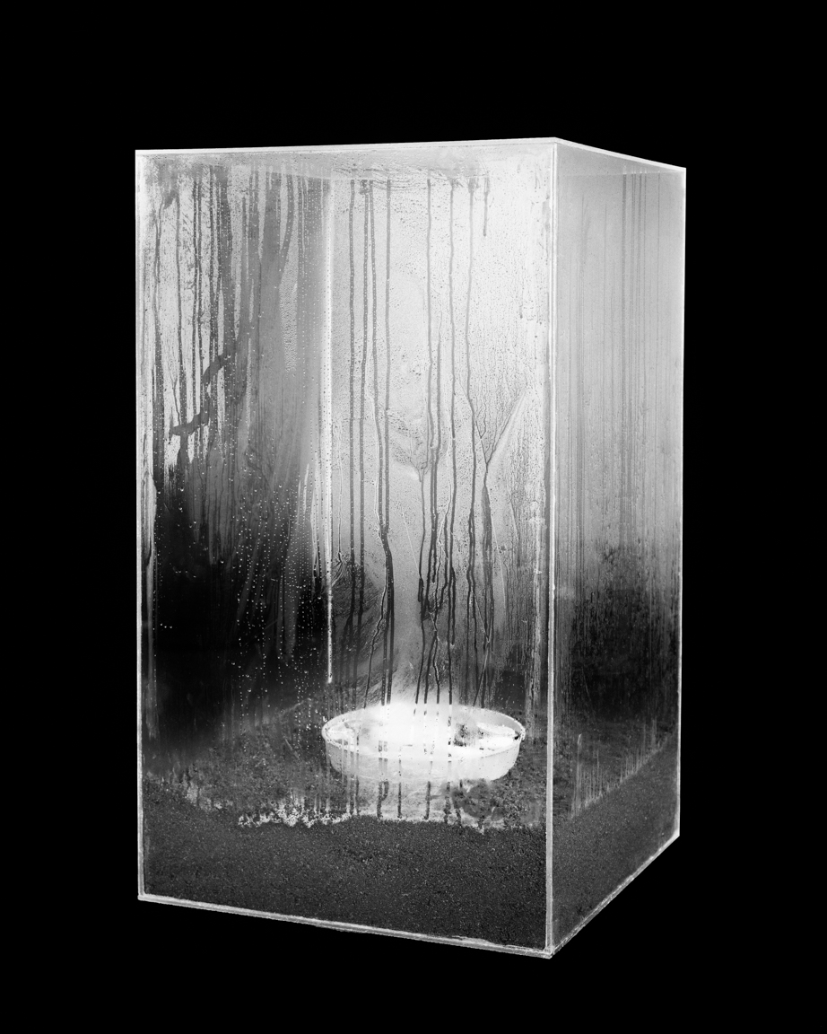 Container with atmosphere, 2017.
