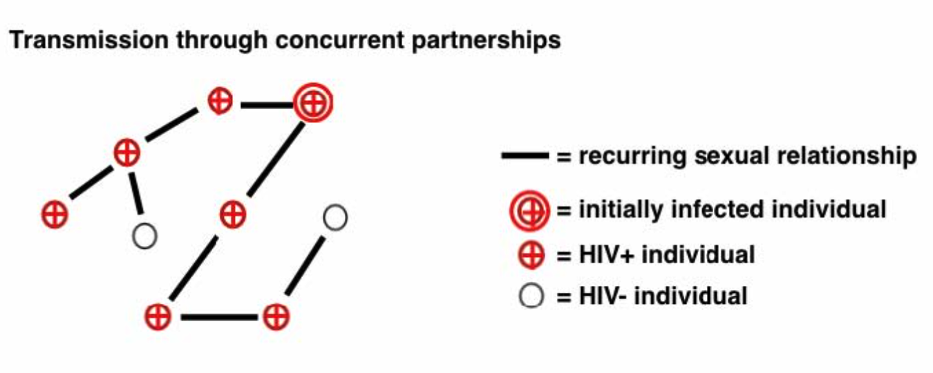A diagram showing how concurrent sexual relationships foster the spread of HIV