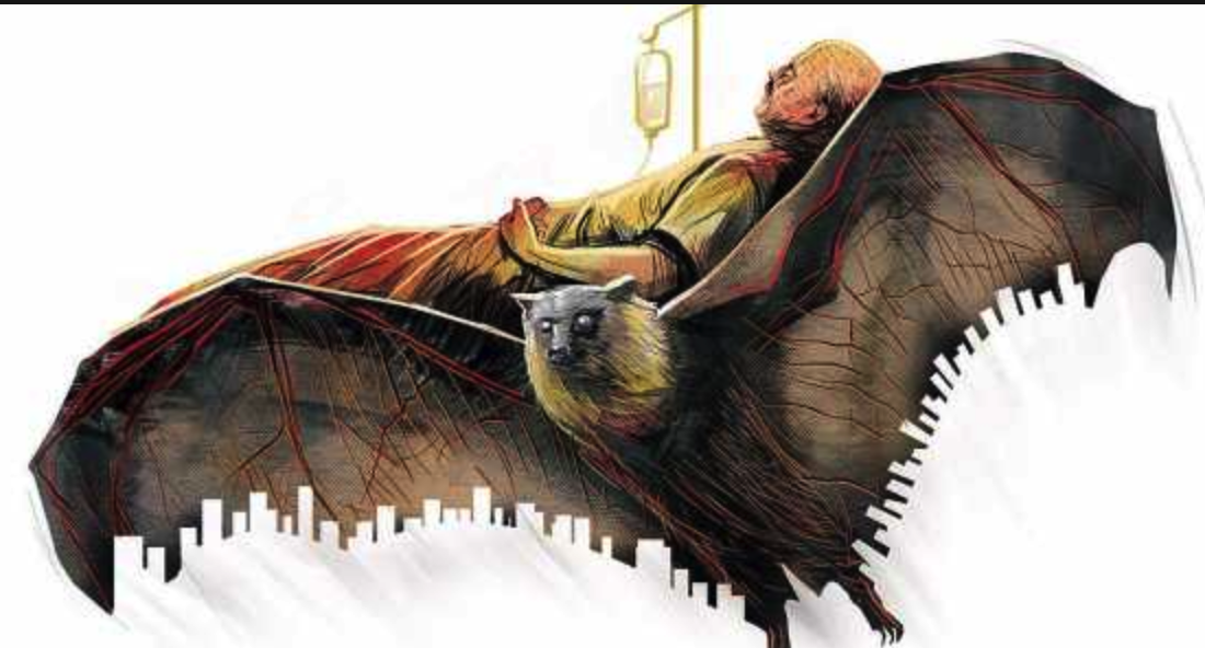 Nipah: A Dangerous Virus That Deserves A Lot of Respect — Tracking ...