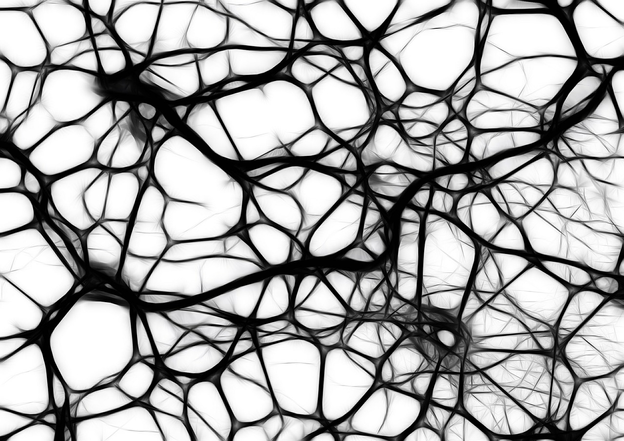 Neurons - it's important to take care of these little guys following a concussion!