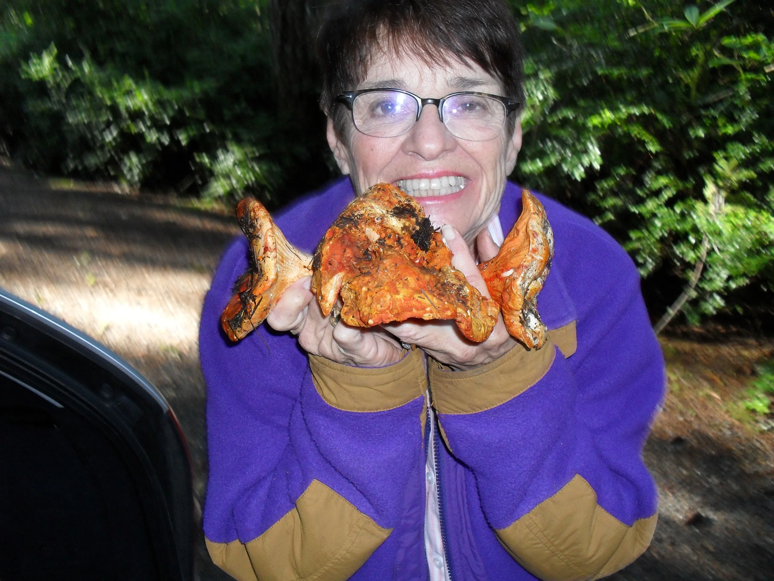 Treasure Hunt - Lobster Mushrooms