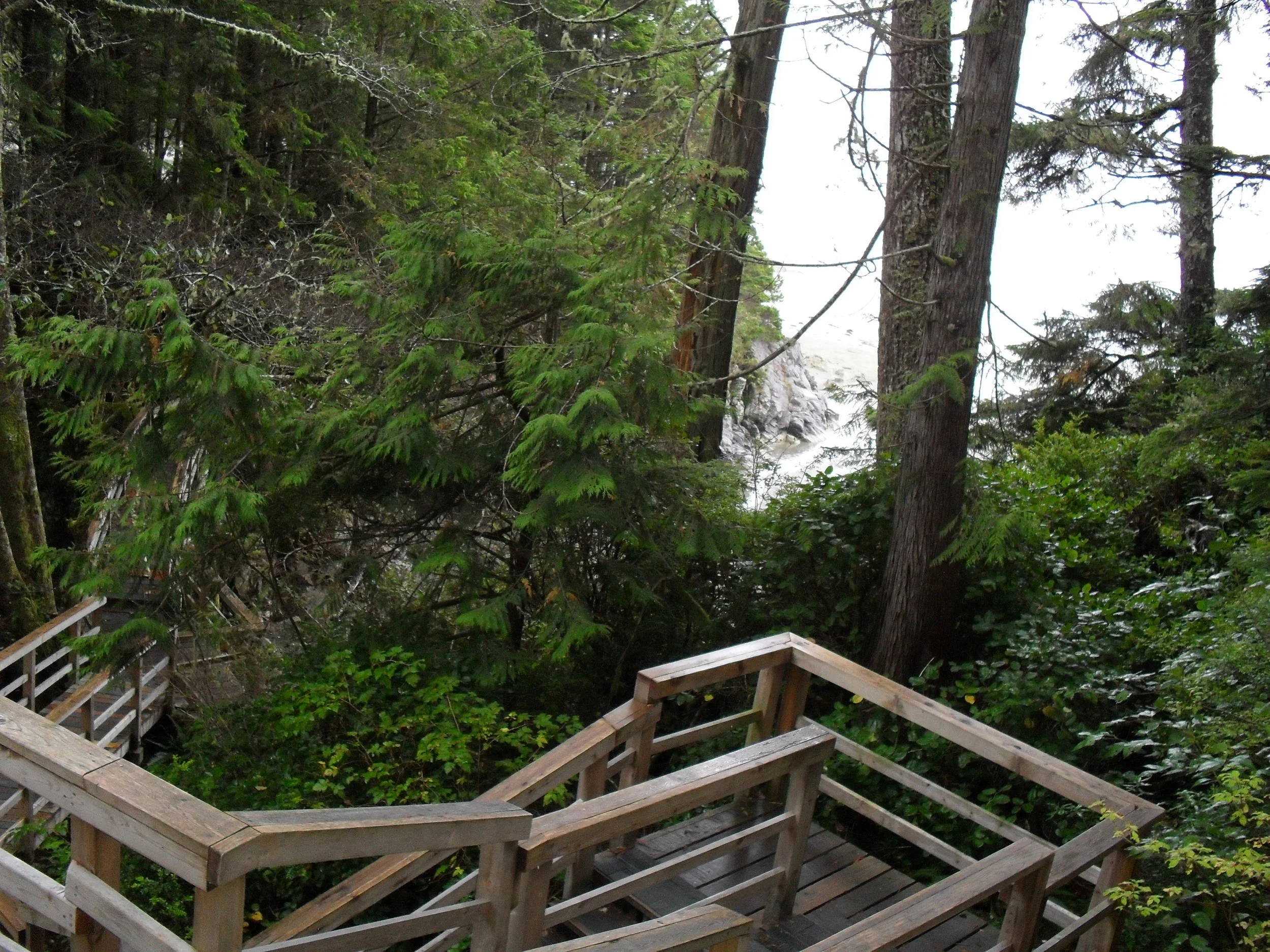 Tonquin Park Near Tofino