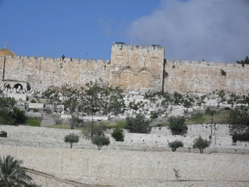 Eastern Gates of Old City from Mount of Olives