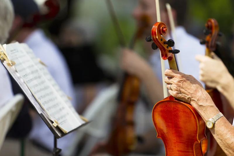 Symphony Orchestra