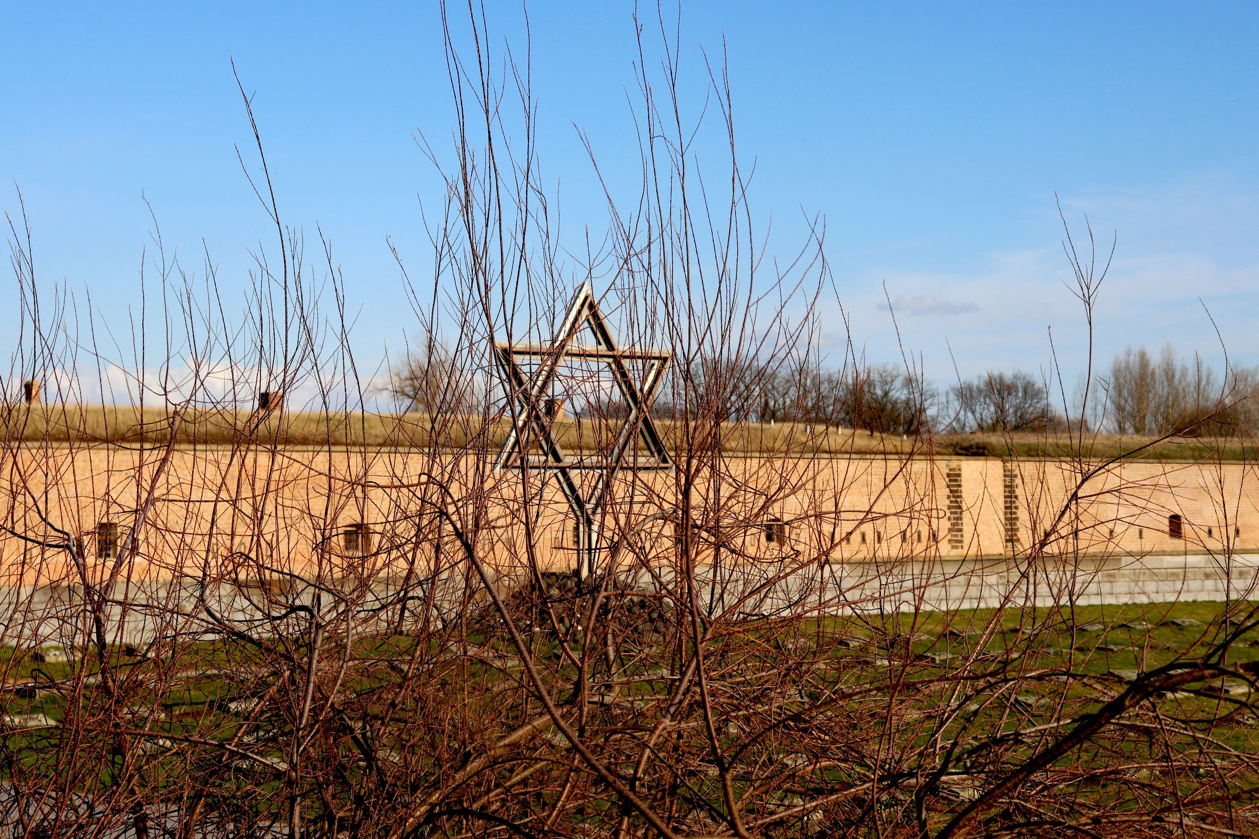 The Star of David (Theresienstadt concentration camp)
