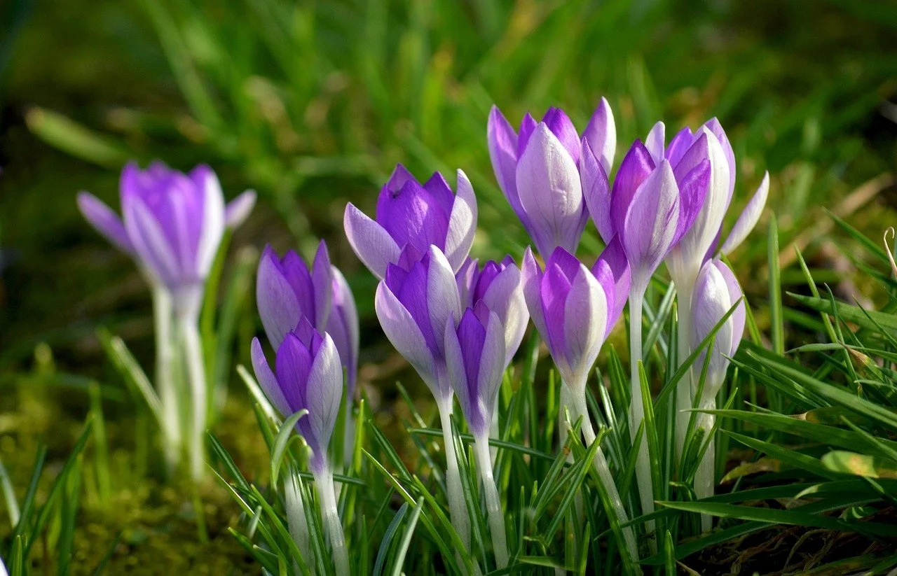 Monatsgruß an die ältere Generation