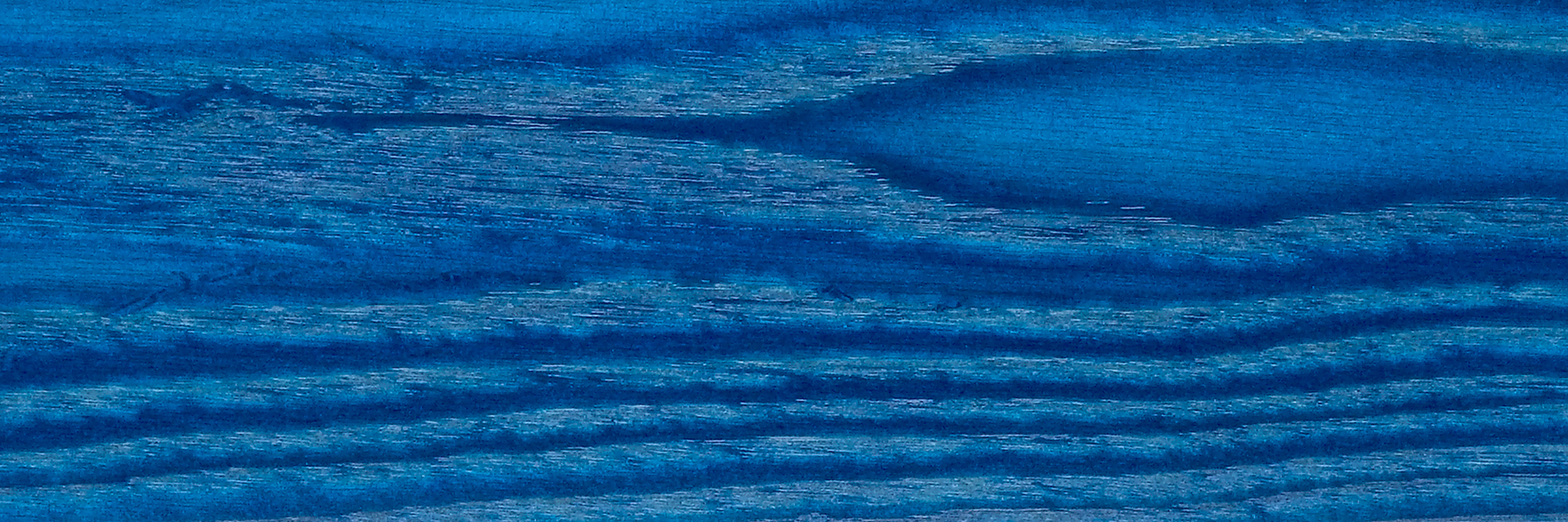 DELFTBLUE_ASH_WEB.jpg