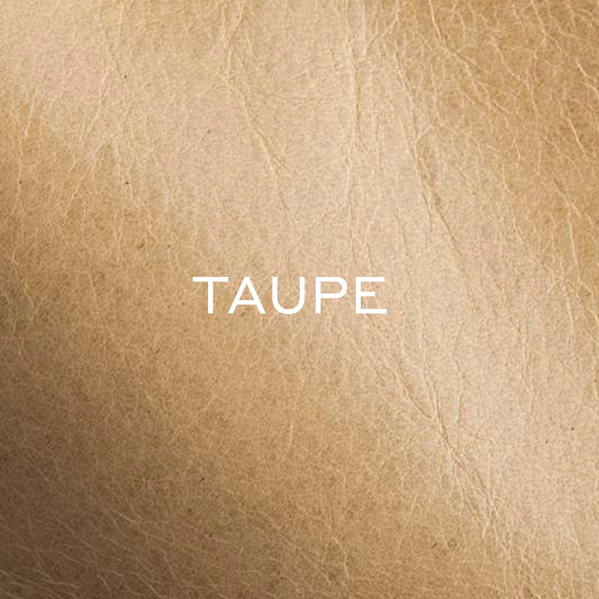 TAUPE LEATHER.png