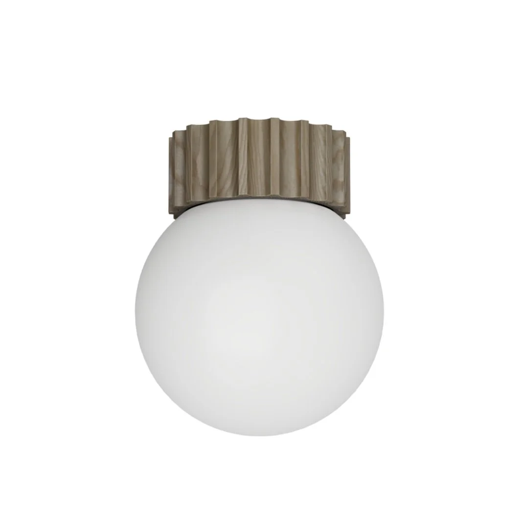 ASTER+FLUSH+MOUNT+GLOBE+-+LICHEN.jpg