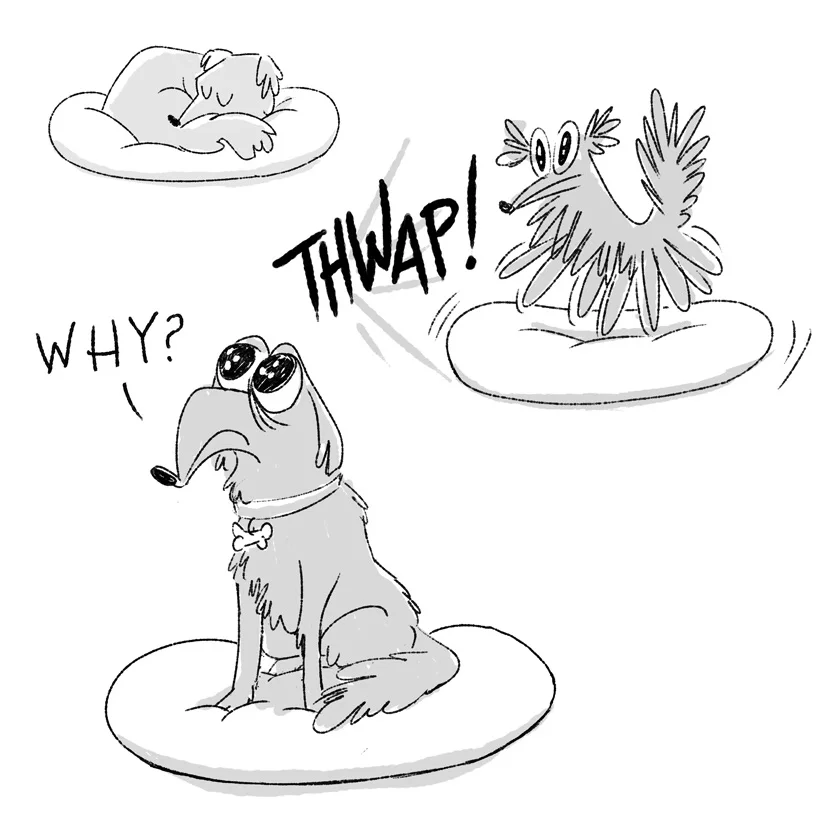 image.jpg