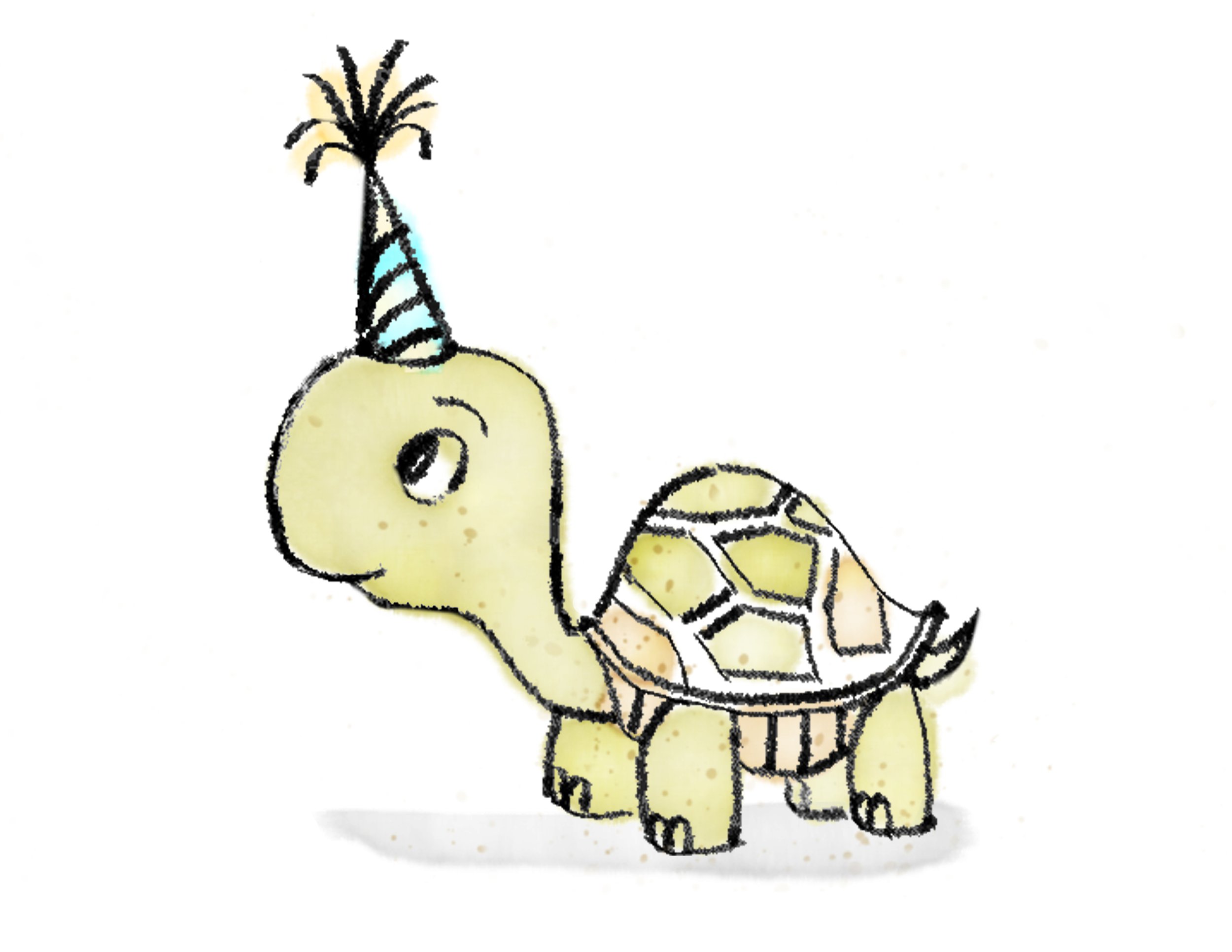 Gabriel_Turtle.jpg
