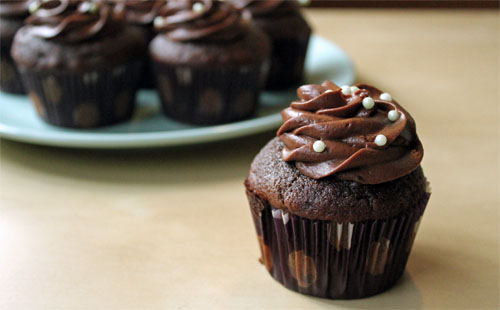 Chocolate Mint1.jpg