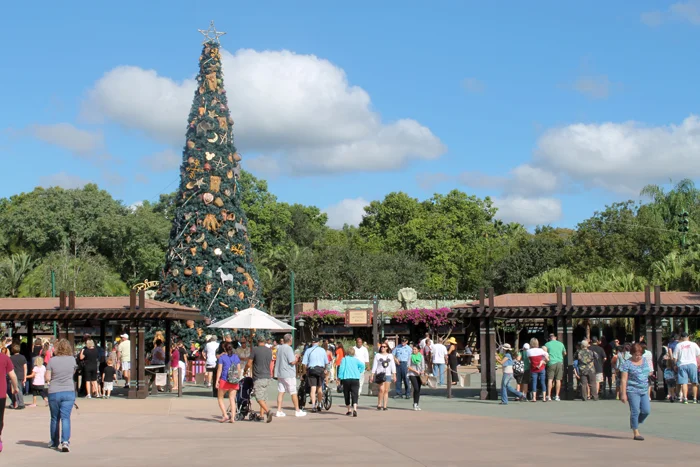 Disney Vacation 12.jpg