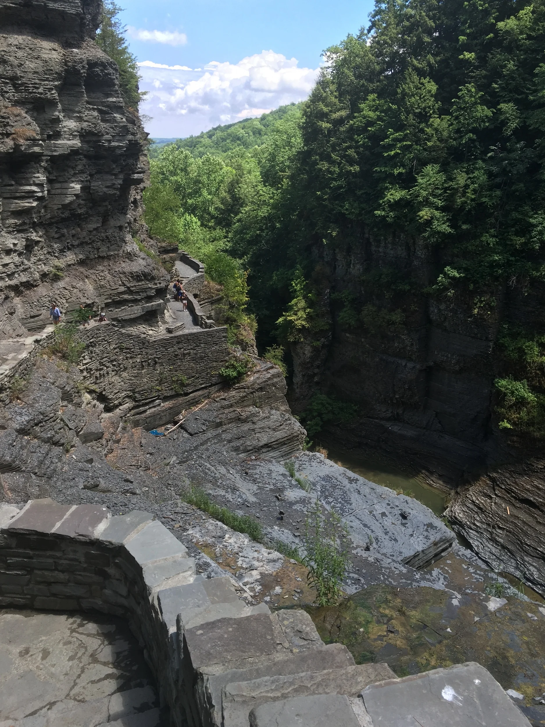 Robert H. Treman State Park