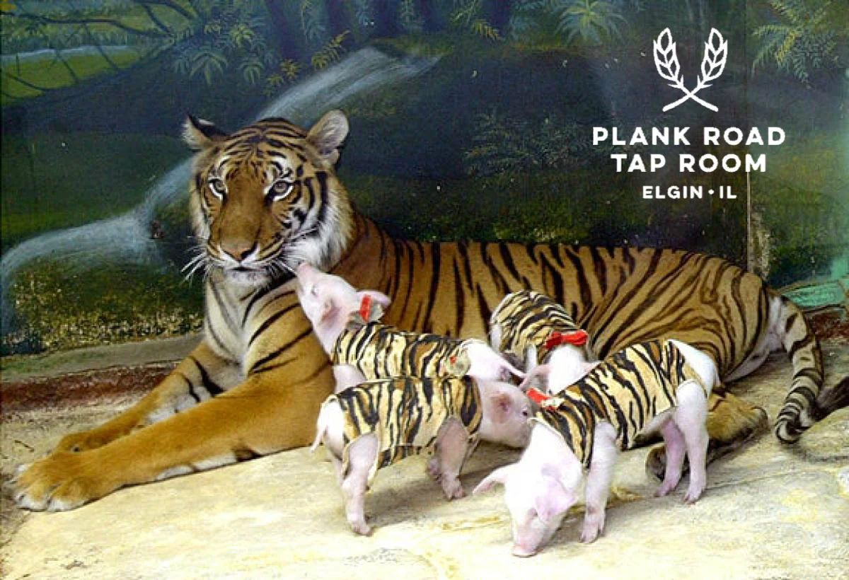 Beer & Bacon Pairing