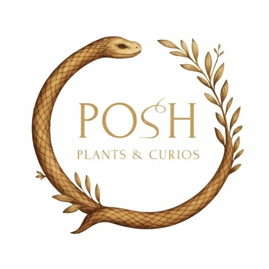 Pop-Up: Posh Plants &amp; Curios