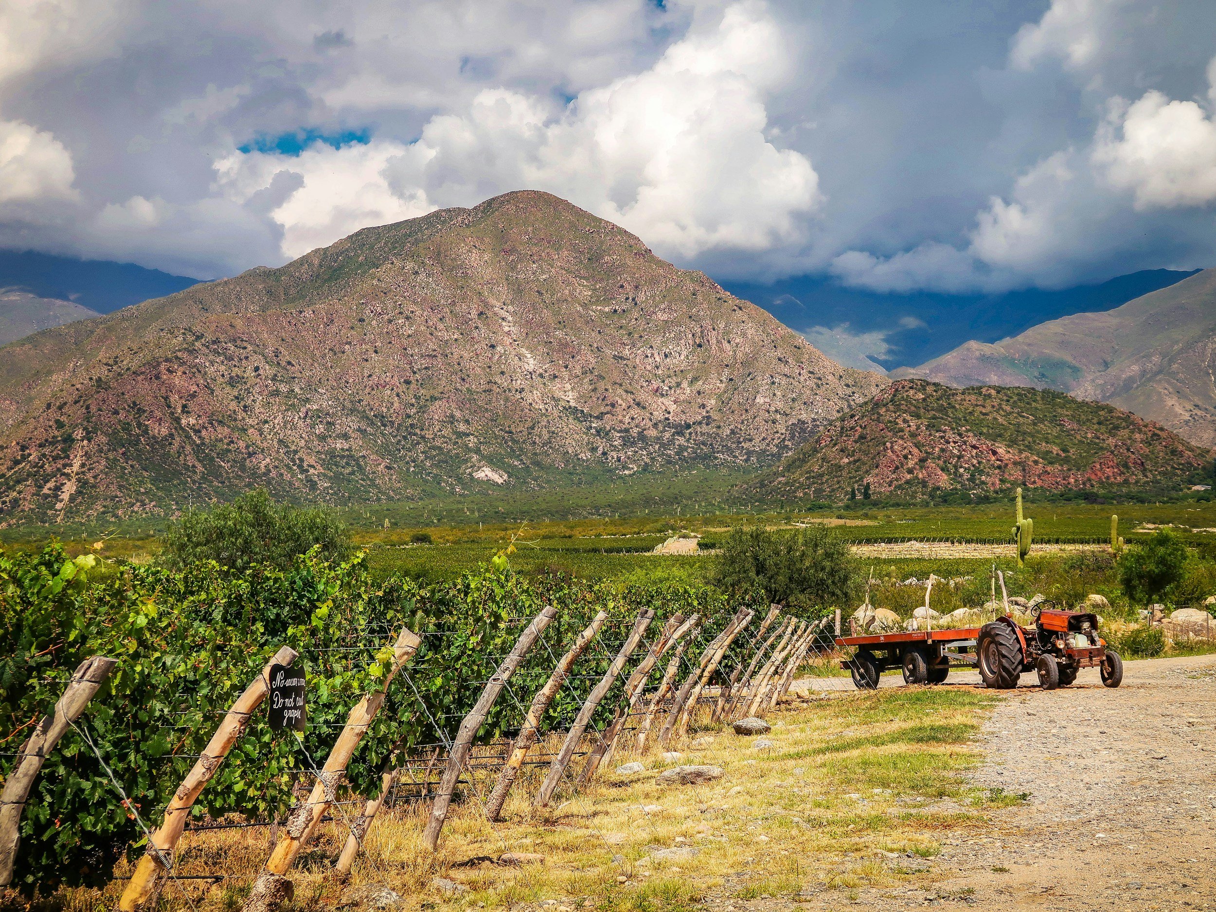 Wine Wednesday: Wines of Mexico
