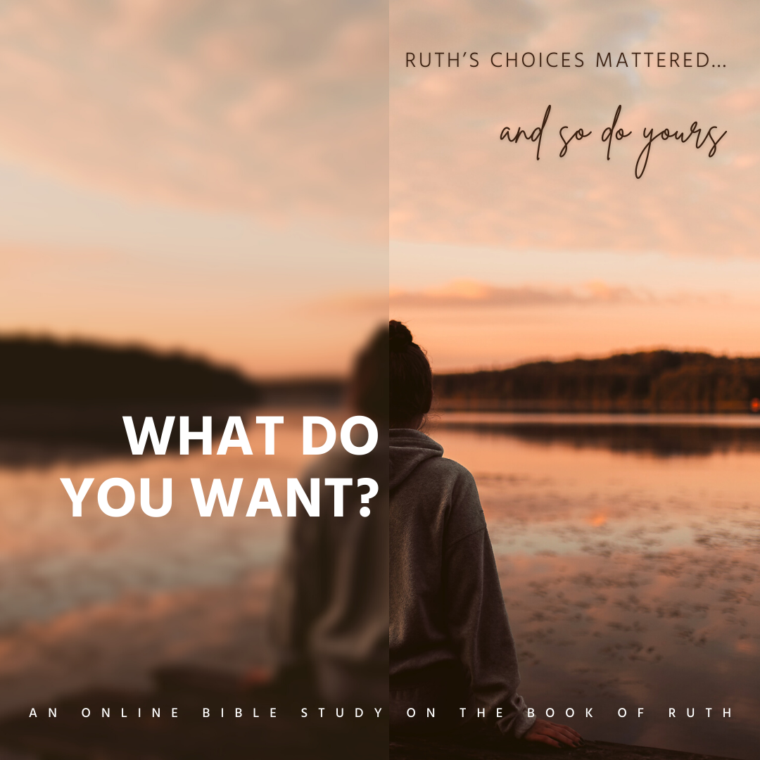 What Do You Want_ .png