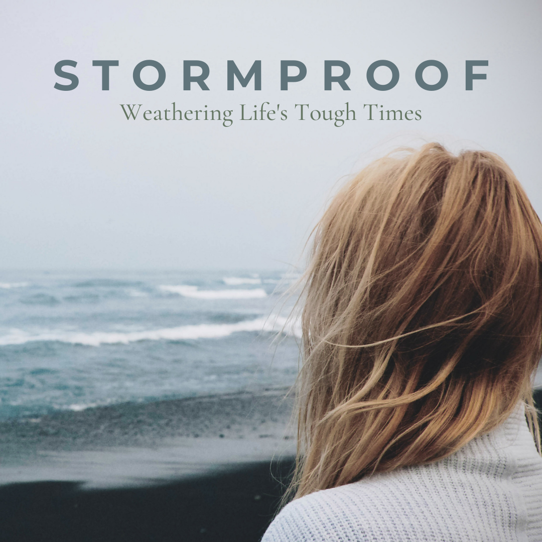 STORMPROOF Graphic.png