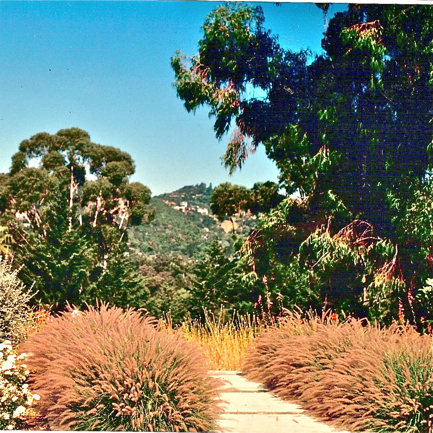 Hoover Residence2.jpg