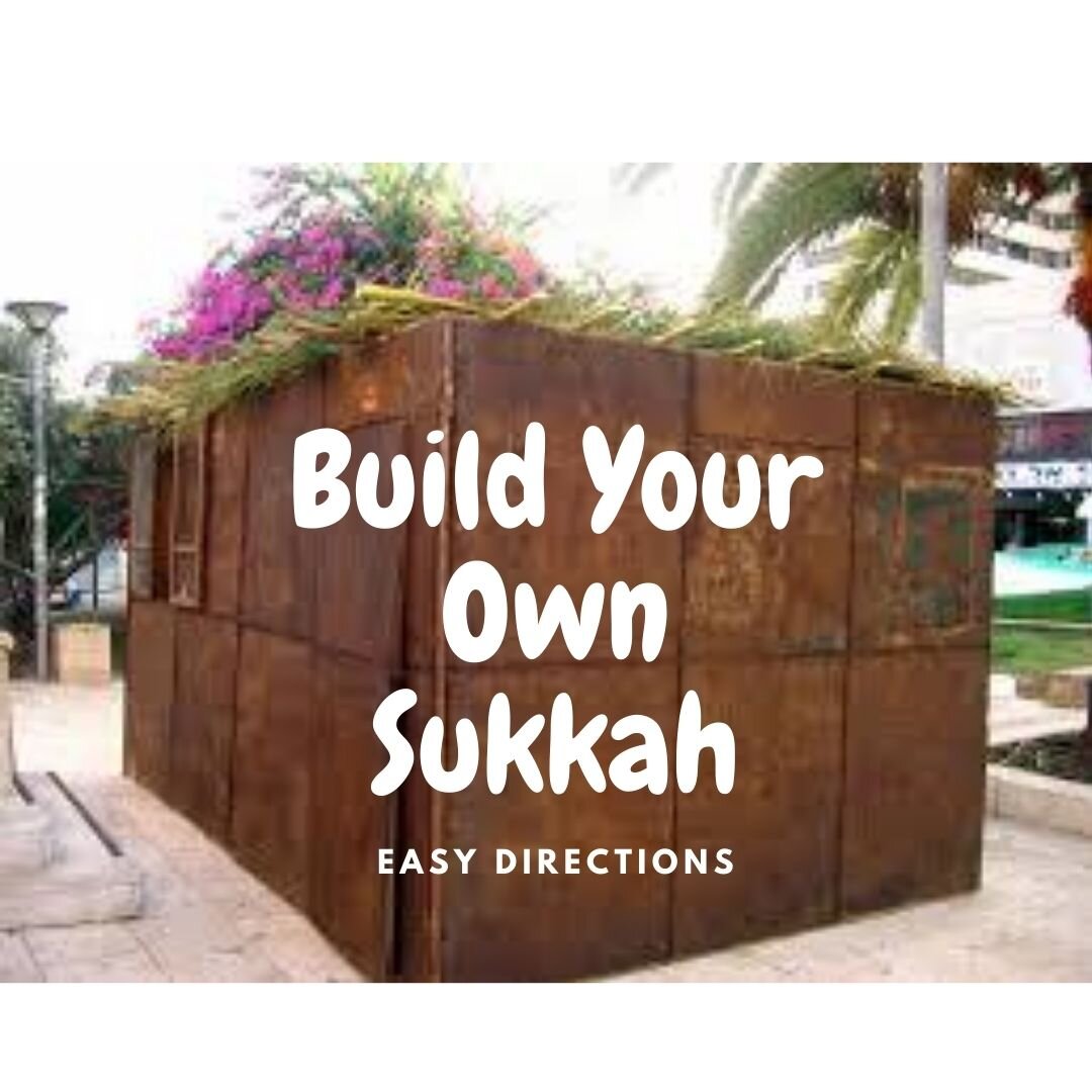 Build Your Own Sukkah #3.jpg