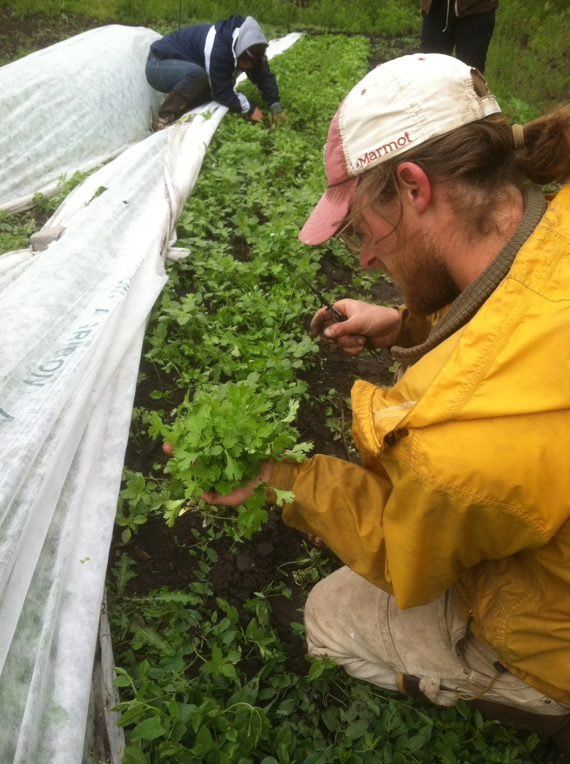 2012-06-08 10.00.32.jpg
