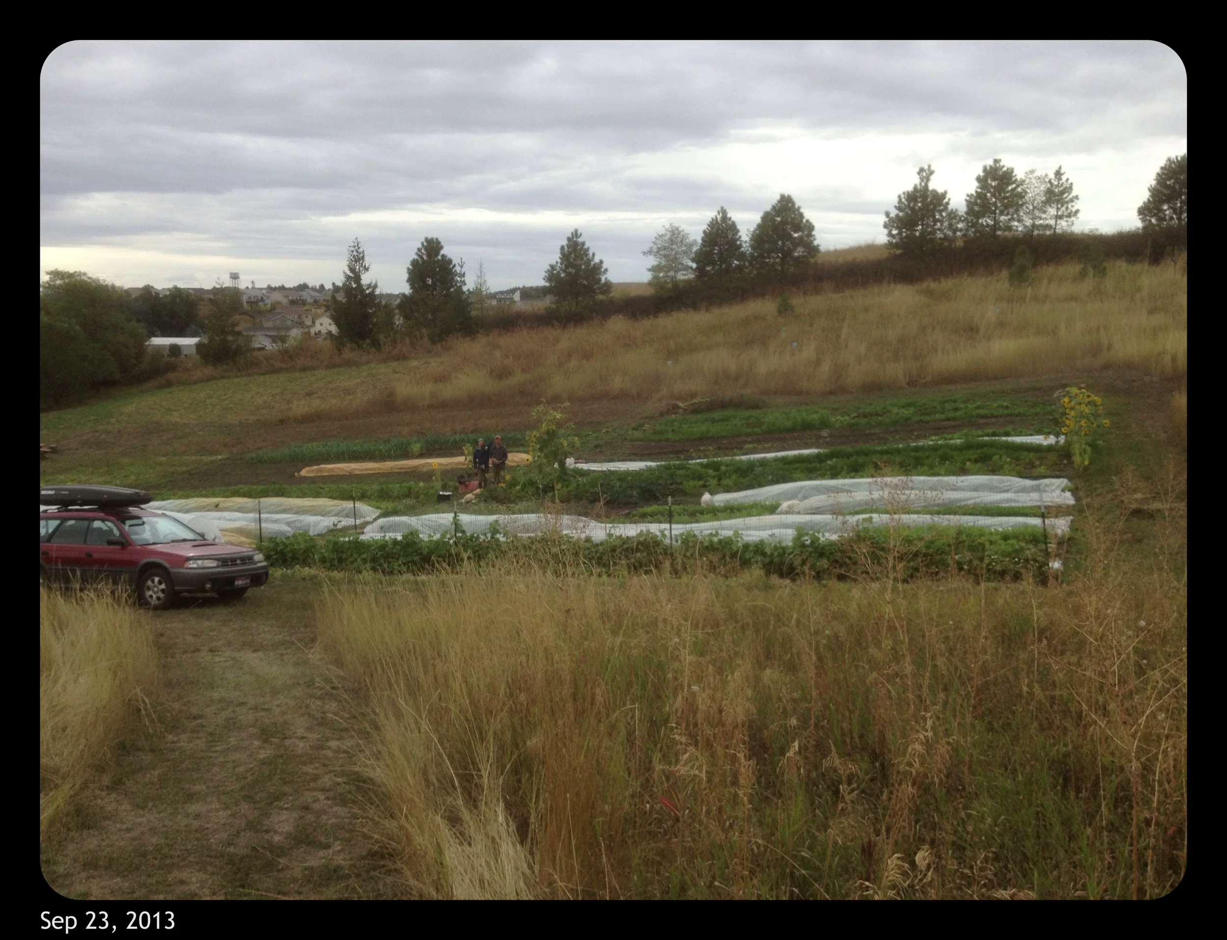 2013-09-23 15.49.29.jpg